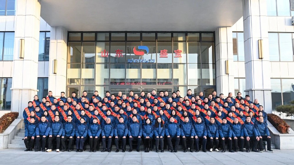 凝心聚力·共谱新篇|山东盛宝2025年度工作总结暨表彰大会